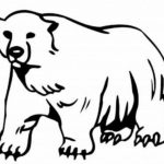 Raskrasil.com-Coloring-Pages-Polar-Beer-50