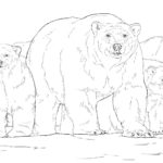Raskrasil.com-Coloring-Pages-Polar-Beer-51