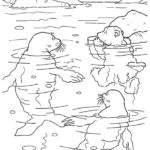 Raskrasil.com-Coloring-Pages-Polar-Beer-52