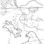 Raskrasil.com-Coloring-Pages-Polar-Beer-59