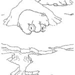 Raskrasil.com-Coloring-Pages-Polar-Beer-60