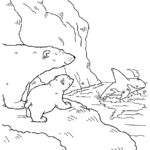 Raskrasil.com-Coloring-Pages-Polar-Beer-64