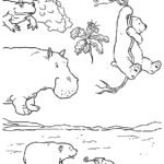 Raskrasil.com-Coloring-Pages-Polar-Beer-65