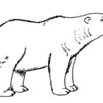 Raskrasil.com-Coloring-Pages-Polar-Beer-69