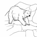 Raskrasil.com-Coloring-Pages-Polar-Beer-70