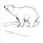 Raskrasil.com-Coloring-Pages-Polar-Beer-73