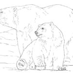 Raskrasil.com-Coloring-Pages-Polar-Beer-74