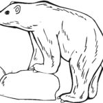 Raskrasil.com-Coloring-Pages-Polar-Beer-75