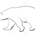 Raskrasil.com-Coloring-Pages-Polar-Beer-77