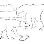 Raskrasil.com-Coloring-Pages-Polar-Beer-81