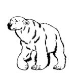 Raskrasil.com-Coloring-Pages-Polar-Beer-84