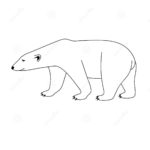Raskrasil.com-Coloring-Pages-Polar-Beer-85