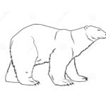 Raskrasil.com-Coloring-Pages-Polar-Beer-86