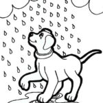 Raskrasil.com-Coloring-Pages-Rainy-Day-82