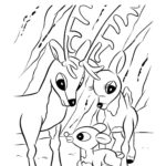 Raskrasil.com-Coloring-Pages-Rudolph-The-Red-Nosed-Reindeer-72