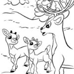 Raskrasil.com-Coloring-Pages-Rudolph-The-Red-Nosed-Reindeer-89