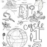 Raskrasil.com-Coloring-Pages-Science-1