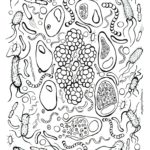 Raskrasil.com-Coloring-Pages-Science-101
