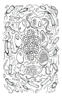 Science Coloring Pages | 100 Pictures Free Printable