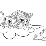 Raskrasil.com-Coloring-Pages-Shimmer-and-Shine-92