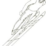 Raskrasil.com-Coloring-Pages-Skiing-94