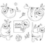 Raskrasil.com-Coloring-Pages-Sloth-101