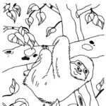 Raskrasil.com-Coloring-Pages-Sloth-107