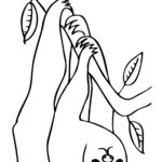Raskrasil.com-Coloring-Pages-Sloth-11