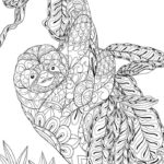 Raskrasil.com-Coloring-Pages-Sloth-110