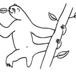 Raskrasil.com-Coloring-Pages-Sloth-12