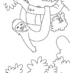 Raskrasil.com-Coloring-Pages-Sloth-15