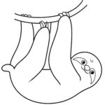 Raskrasil.com-Coloring-Pages-Sloth-16