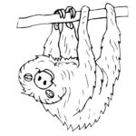 Raskrasil.com-Coloring-Pages-Sloth-18