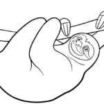 Raskrasil.com-Coloring-Pages-Sloth-29