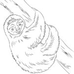 Raskrasil.com-Coloring-Pages-Sloth-31
