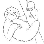 Raskrasil.com-Coloring-Pages-Sloth-32