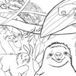 Raskrasil.com-Coloring-Pages-Sloth-34