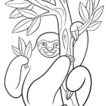 Raskrasil.com-Coloring-Pages-Sloth-36