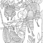 Raskrasil.com-Coloring-Pages-Sloth-4