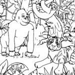 Raskrasil.com-Coloring-Pages-Sloth-46