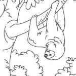 Raskrasil.com-Coloring-Pages-Sloth-48