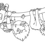 Raskrasil.com-Coloring-Pages-Sloth-5
