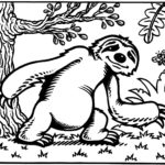 Raskrasil.com-Coloring-Pages-Sloth-53