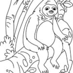 Raskrasil.com-Coloring-Pages-Sloth-57