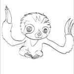 Raskrasil.com-Coloring-Pages-Sloth-6