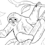 Raskrasil.com-Coloring-Pages-Sloth-65
