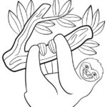 Raskrasil.com-Coloring-Pages-Sloth-70