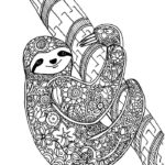 Raskrasil.com-Coloring-Pages-Sloth-71