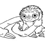 Raskrasil.com-Coloring-Pages-Sloth-74