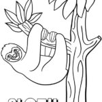 Raskrasil.com-Coloring-Pages-Sloth-77